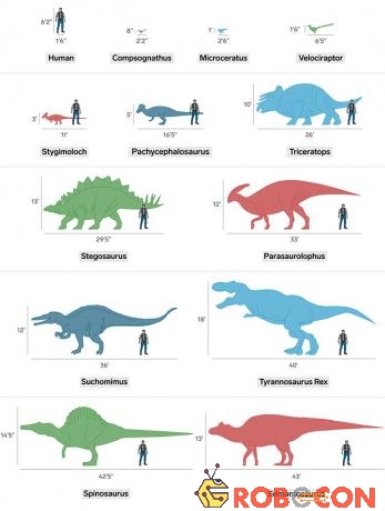 Kích thước của các loài khủng long