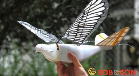 Thiết bị bay không người lái mô phỏng chim bồ câu của Trung Quốc.