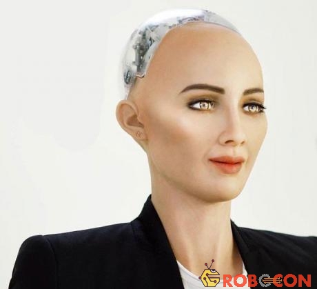Robot Sophia sẽ đến Việt Nam vào tháng 7 tới.