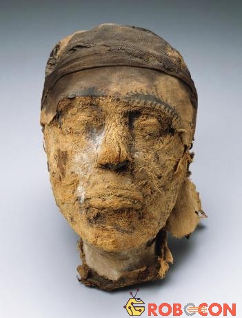 Phần đầu của xác ướp được đặt trong bảo tàng.