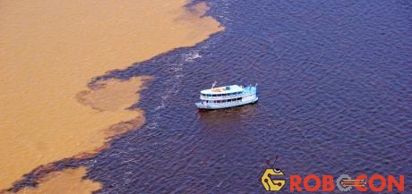 Nơi hai con sông không chịu hợp màu ở Manaus là điểm hút khách ở Brazil. 