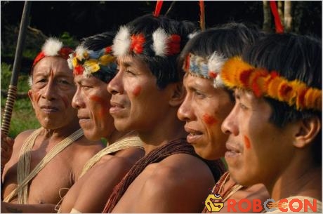 Tộc Huaorani trở về tự nhiên vì muốn bảo vệ rừng.