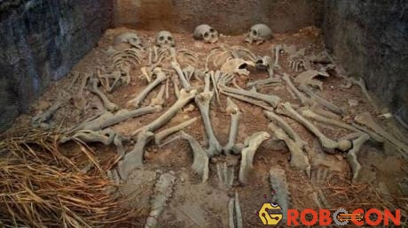 Các nhà khảo cổ đã phát hiện ra hàng chục bộ di cốt của những kẻ mộ tặc. 