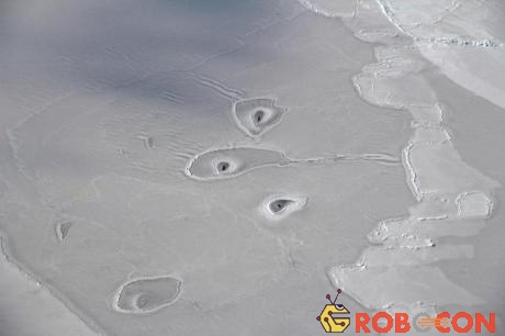 Các lỗ bí ẩn xuất hiện trên lớp băng mỏng giữa biển.