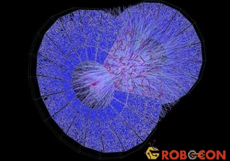 Hình ảnh tái dựng bằng máy vi tính này cho thấy sự vận động của các hạt trong những thử nghiệm tại CERN. Ảnh: Barcroft Media