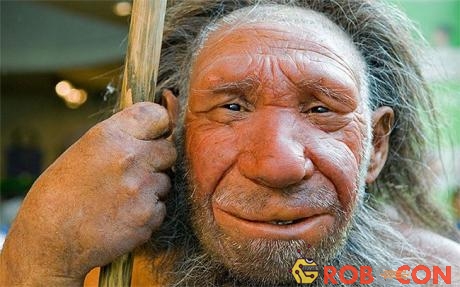 Người Neanderthal cũng là một loài người rất thông minh