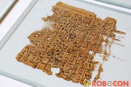 Giấy cổ papyrus hé lộ bí mật về việc xây dựng kim tự tháp.