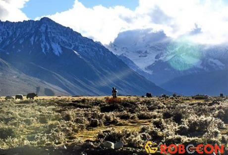 Cao nguyên Tây Tạng