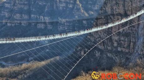 Cầu treo đáy kính dài nhất thế giới.