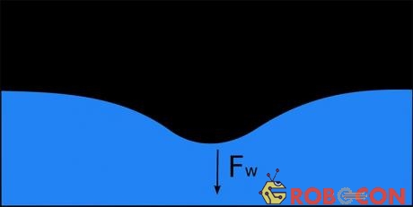 Sức căng bề mặt (surface tension – Fs) xuất hiện khi có một lực căng vuông góc (Fw) với mặt phẳng chất lỏng như trên hình.