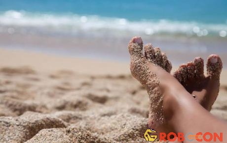 Cát là chất hút nước cực nhanh, Silicon dioxide có trong cát sẽ bám dính các phân tử nước. 