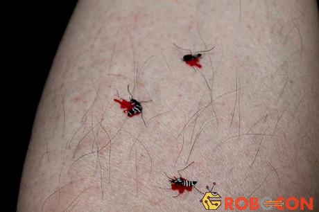 Phiên bản muỗi sau khi đốt no máu
