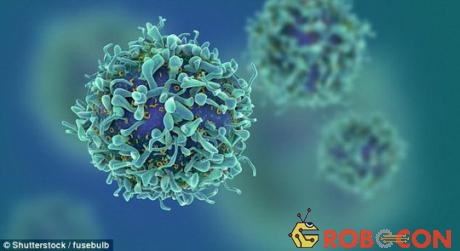 Thuốc chữa HIV mới có thể đánh thức các tế bào HIV 