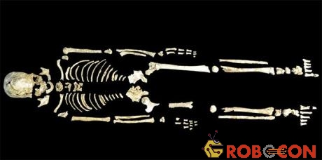 Bộ xương cổ 8.400 năm tuổi được tìm thấy khi khai quật tại Phúc Kiến (Trung Quốc).