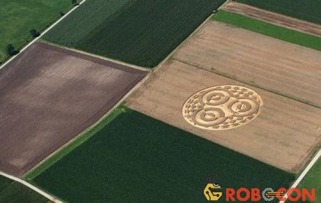 Vòng tròn bí ẩn giữa cánh đồng lúa mì ở Đức.