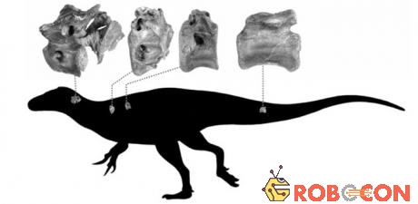 Hóa thạch khủng long chân thú mới được tìm thấy ở Anh.