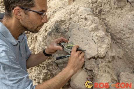 Một nhà khảo cổ đang làm việc tại phế tích Jerusalem cổ đại