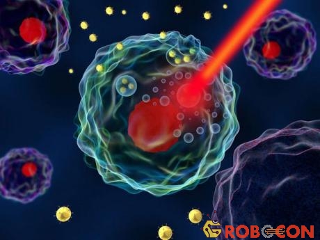 Chiếu laser hoặc hồng ngoại vào vị trí các khối u chứa nano vàng bằng phương pháp quang nhiệt. 