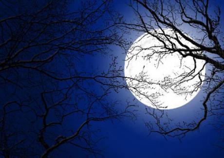 Những ảnh hưởng của Mặt trăng đến con người như thế nào?