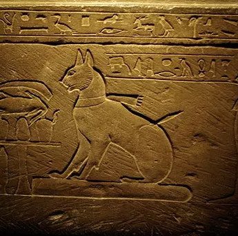 Những sự thật về người Ai Cập cổ đại mà chúng ta chưa khám phá hết