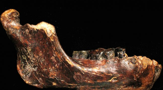 Lộ diện hóa thạch xương hàm của chủng người mà chúng ta chưa biết