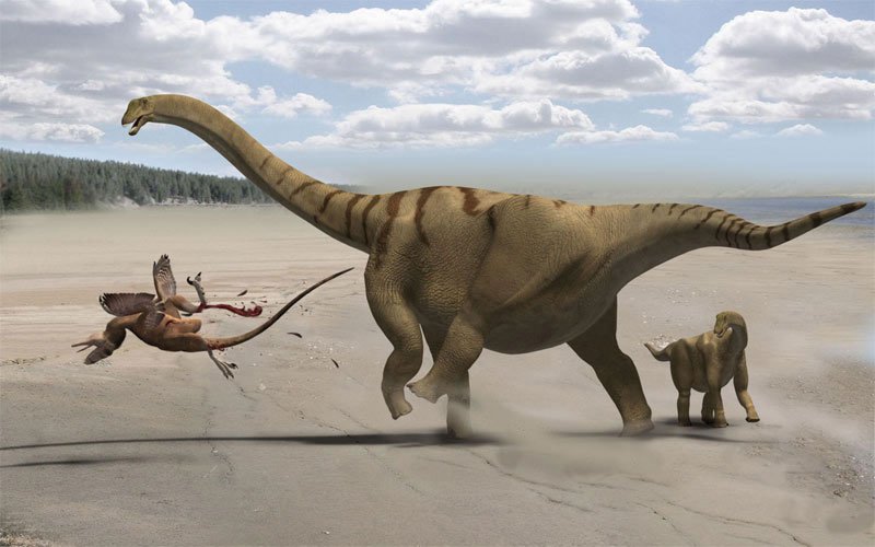 Phát hiện hóa thạch cực hiếm của khủng long Sauropod ở Anh