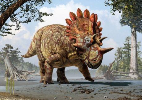 Phát hiện hóa thạch loài khủng long có sừng mới ở Trung Quốc