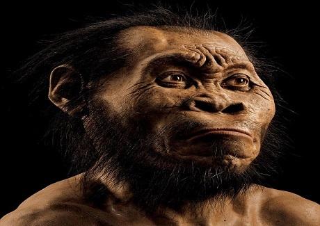 Phát hiện xương hóa thạch của loài người mới ở Nam Phi