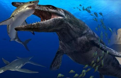 Bí mật về quái vật biển khổng lồ ăn thịt cả cá mập