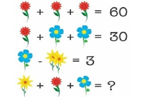Tưởng như đơn giản bài toán bằng hình ảnh bông hoa gây bối rối cho cả giáo viên