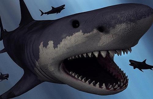 Đây là nguyên nhân khiến siêu cá mập Megalodon tuyệt chủng