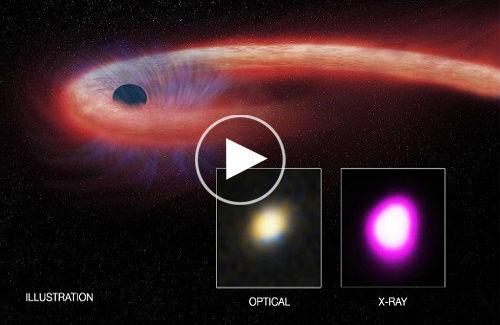 Siêu hố đen lập kỷ lục về "sự tham ăn" khi nuốt cả một ngôi sao