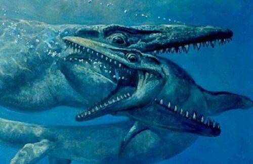Hóa thạch thương long 75 triệu năm nguyên dấu răng kẻ thù