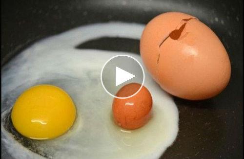 Lý giải hiện tượng lạ "trứng trong trứng" khiến nhiều người ngạc nhiên