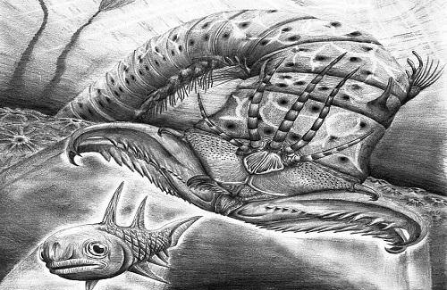 Phát hiện hóa thạch loài sâu có bộ hàm lớn nhất thế giới, dài gần 2m