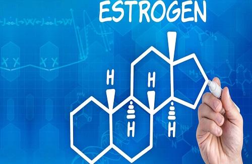 Estrogen là gì? Vai trò và thời điểm cân bằng estrogen
