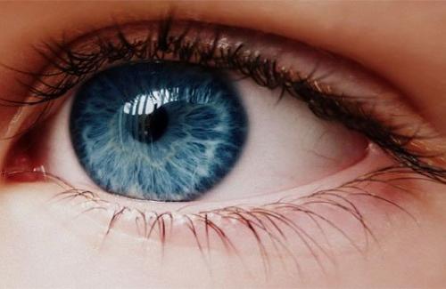Mắt người và những điều bạn chưa biết về cấu trúc của mắt người