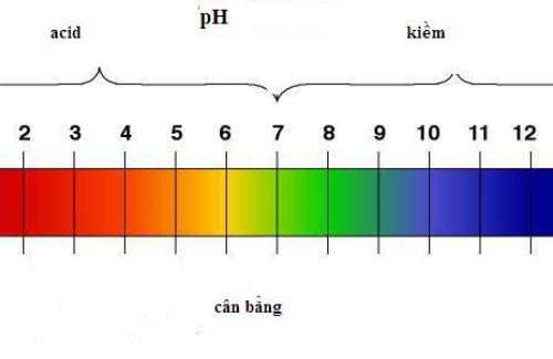 pH là gì? Tác hại của độ pH bạn không nên "bỏ ngoài tai"
