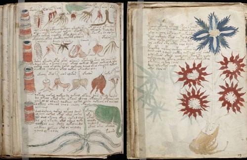 Đã giải mã được bản thảo Voynich bí ẩn nhất thế giới