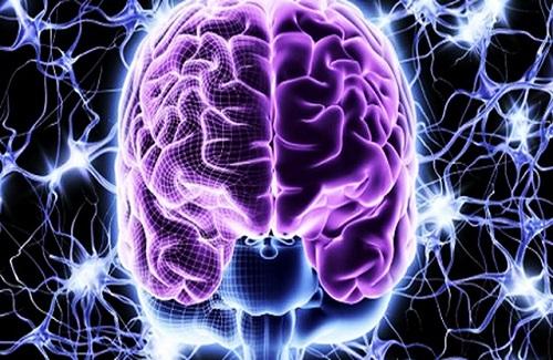 Chuyện gì sẽ xảy ra nếu như chúng ta "kích điện" vào bộ não chết?