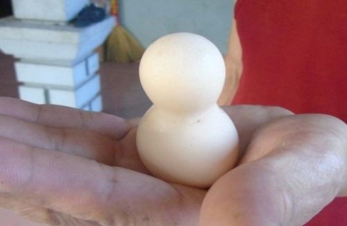 Phát hiện quả trứng có hình thù kỳ lạ trông giống hồ lô ở Nghệ An