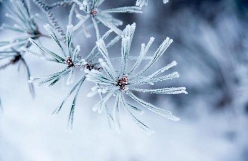 Sáu hiện tượng thiên nhiên tuyệt đẹp chỉ có vào mùa đông bạn không thể bỏ qua