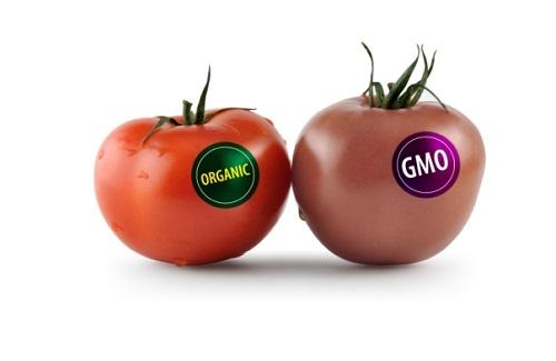 Cách nhận biết thực phẩm biến đổi gen GMO trên thị trường hiện nay