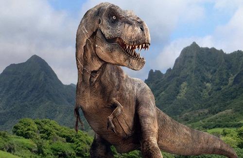 Nghiên cứu gây sốc: Khủng long bạo chúa T-rex cũng biết "yêu"