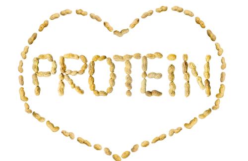 Protein là gì? Vai trò của protein đối với sự sống của chúng ta