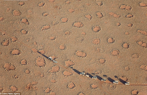 Bí ẩn những vòng tròn kỳ lạ ở Namib đã tìm ra lời giải?