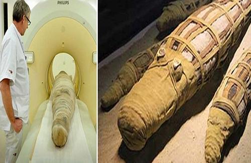 Chụp cắt lớp 3D xác ướp cá sấu 2500 tuổi ở Ai Cập phát hiện bí mật chấn động