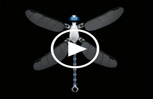 Gắn bộ điều khiển cho chuồn chuồn biến đổi gen và biến nó thành máy bay drone
