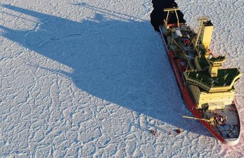 Hiện tượng băng 'vảy rồng' hiếm gặp xuất hiện ở Nam Cực
