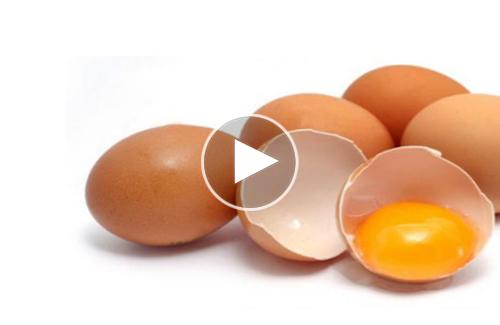 4 công dụng của vỏ trứng đối với cây trồng trong đời sống